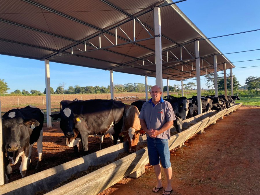 Por onde caminha a produção leiteira do Estado de RO